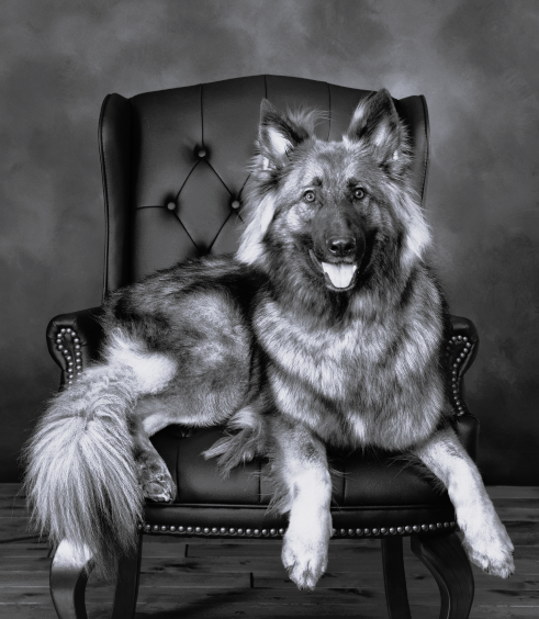 Max